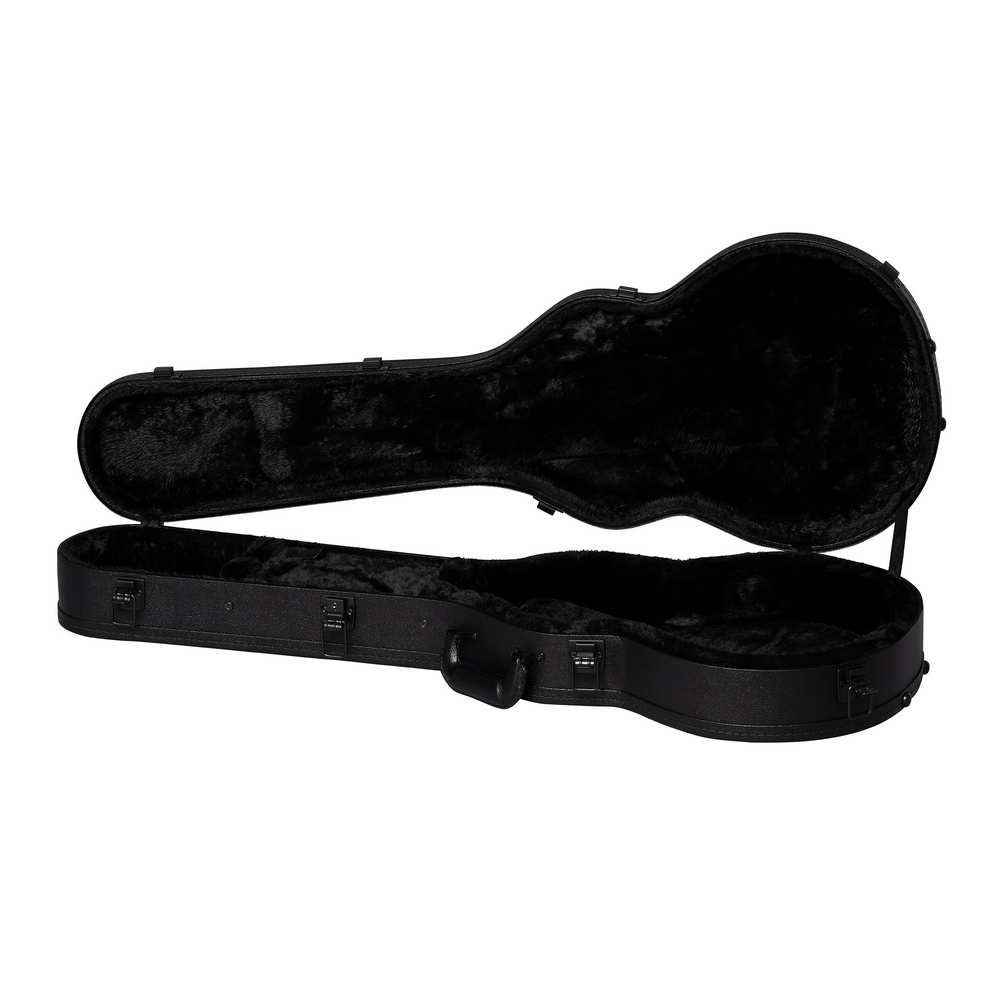 ASLPCASE-MDR-2