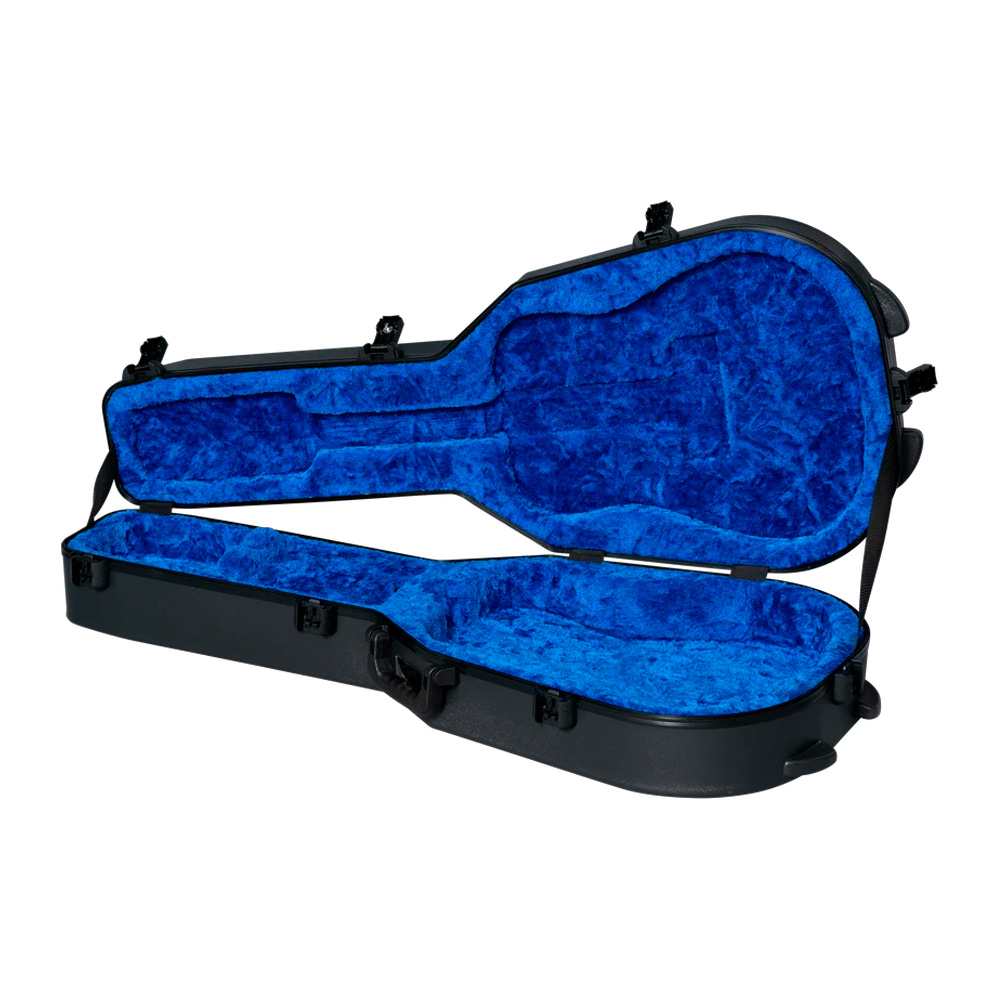 ASPRCASE-DN-2